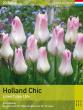 Тюльпан Holland Chic 12+